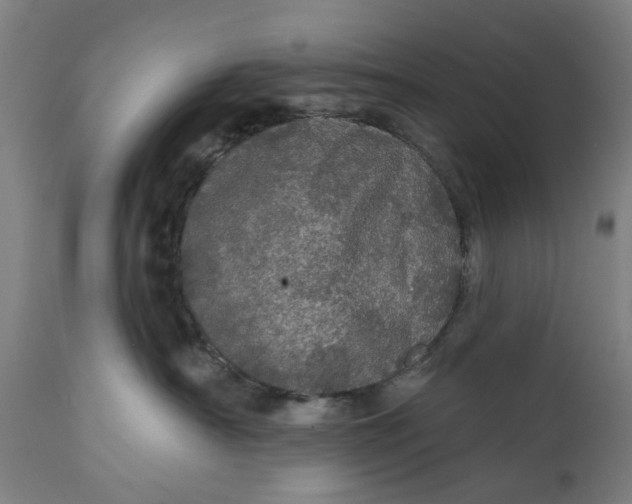 X0000111580430200908061330