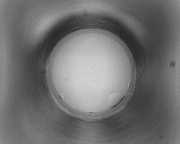 X0000111580431200908061330