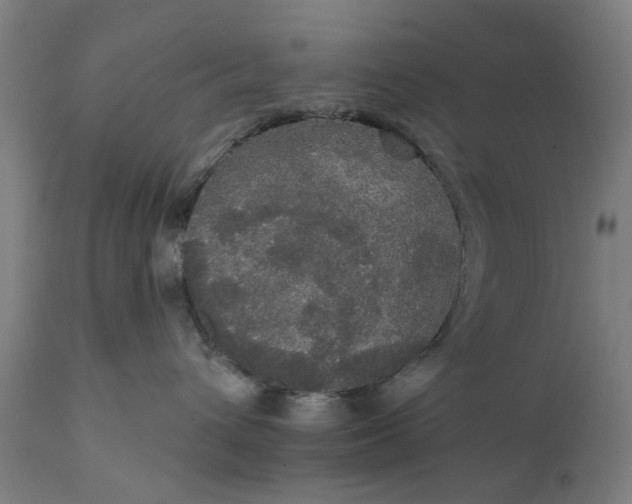 X0000111580432200908061330