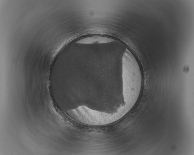 X0000111580434200908061329