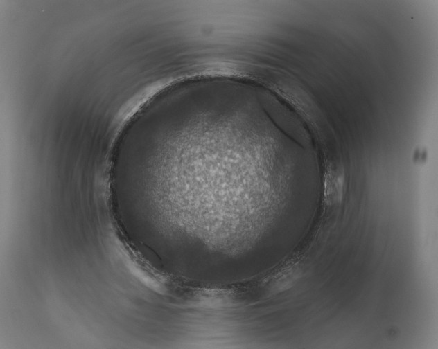 X0000111580436200908061329