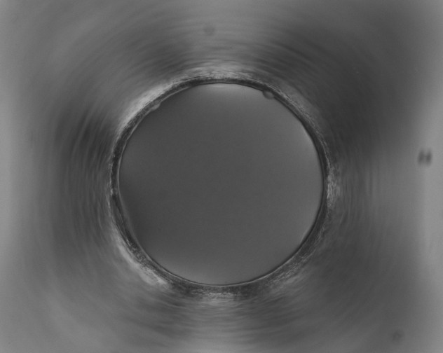 X0000111580438200908061329