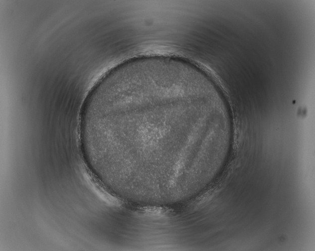 X0000111580439200908061329