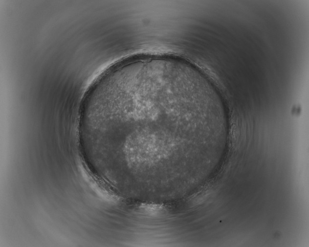 X0000111580440200908061329