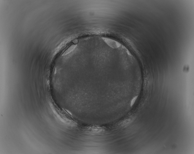 X0000111580443200908061329