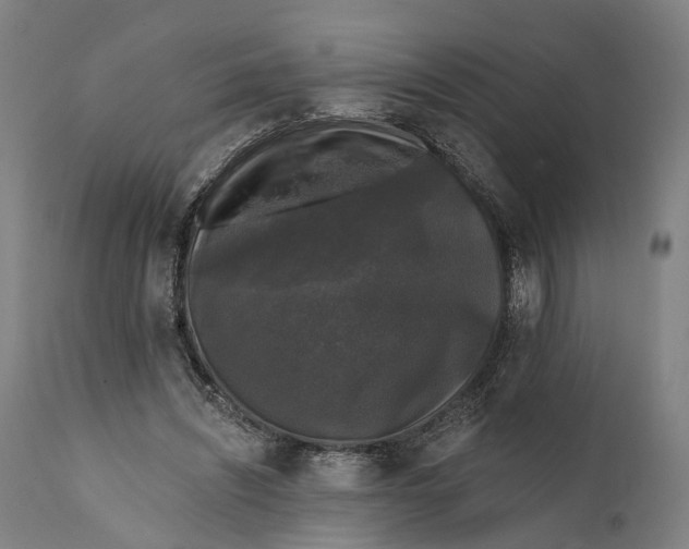 X0000111580444200908061329