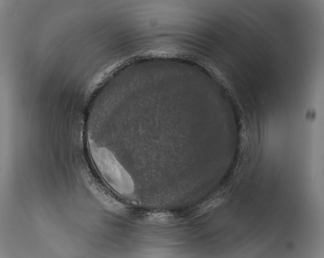 X0000111580446200908061329