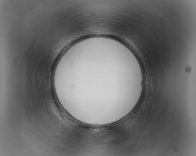 X0000111580447200908061329