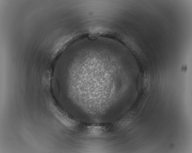 X0000111580448200908061329