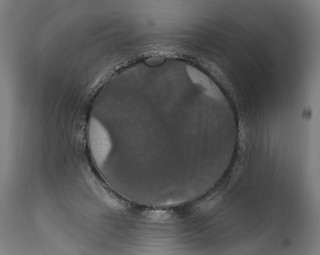 X0000111580449200908061329