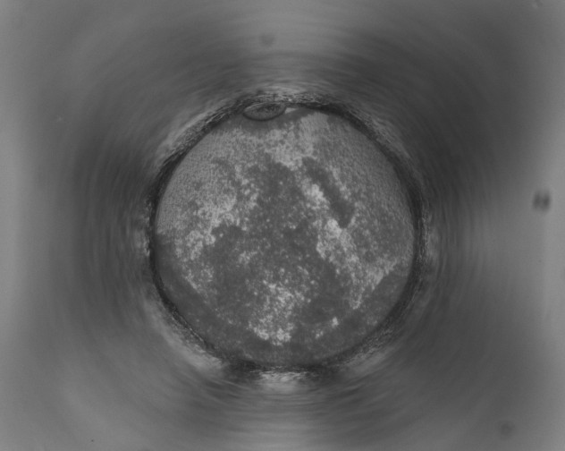 X0000111580450200908061329