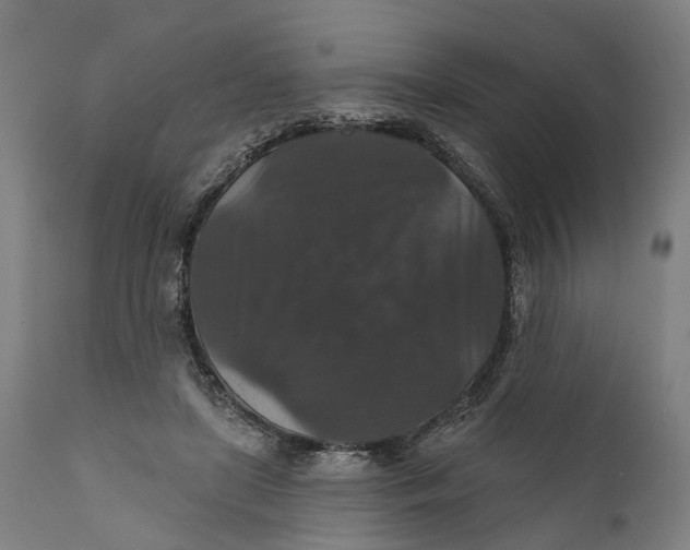 X0000111580451200908061329