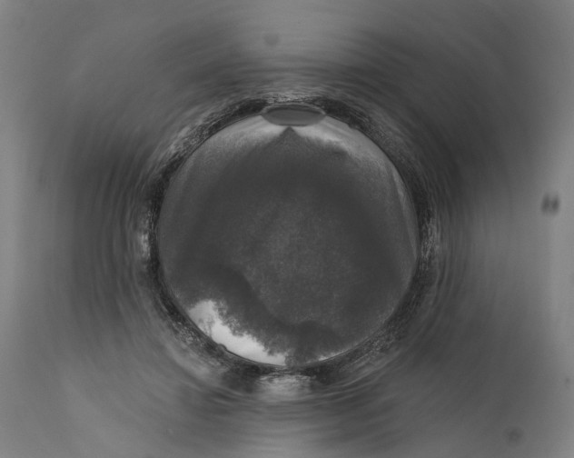 X0000111580452200908061329