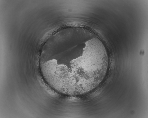 X0000111580453200908061329