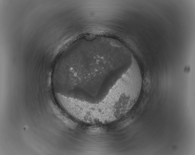 X0000111580454200908061329