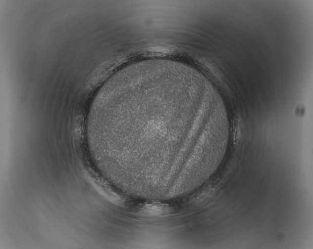 X0000111580455200908061329