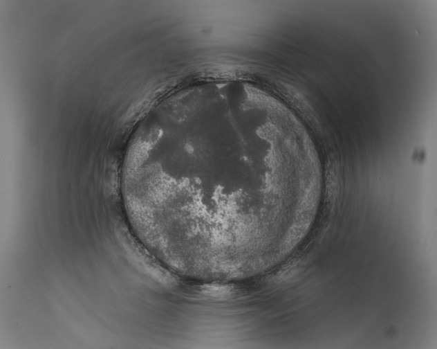 X0000111580457200908061329