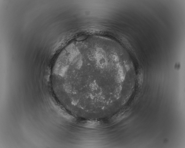 X0000111580458200908061329