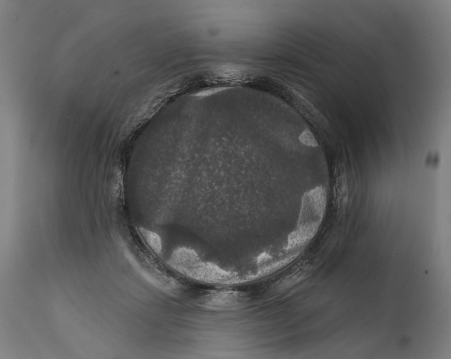 X0000111580459200908061329