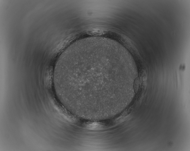 X0000111580460200908061329