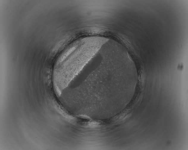 X0000111580462200908061329