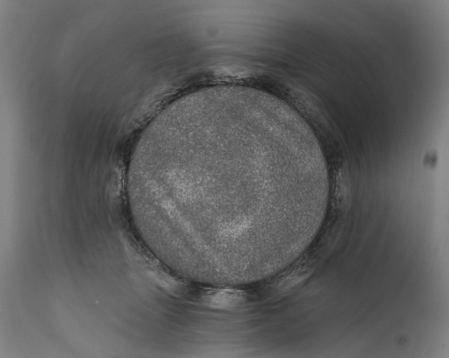 X0000111580463200908061329