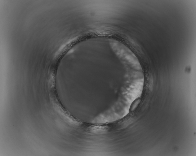 X0000111580465200908061329