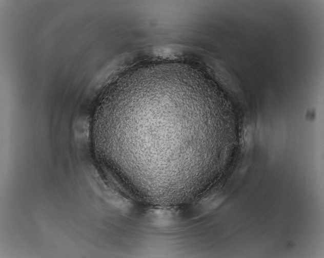 X0000111580466200908061329