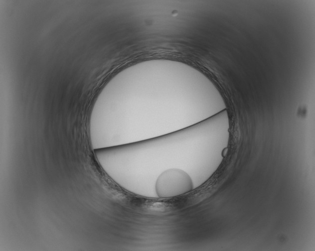 X0000111580467200908061329