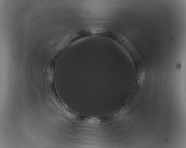 X0000111580471200908061329