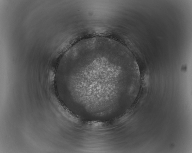 X0000111580472200908061329