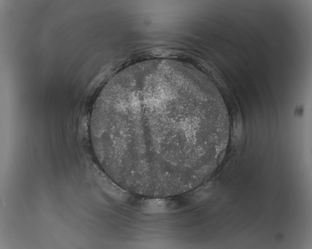 X0000111580473200908061329