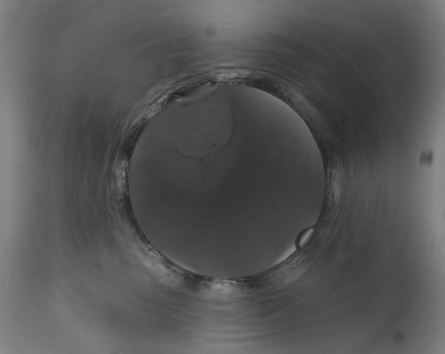 X0000111580475200908061330