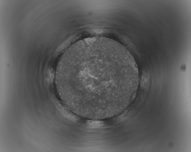 X0000111580476200908061330