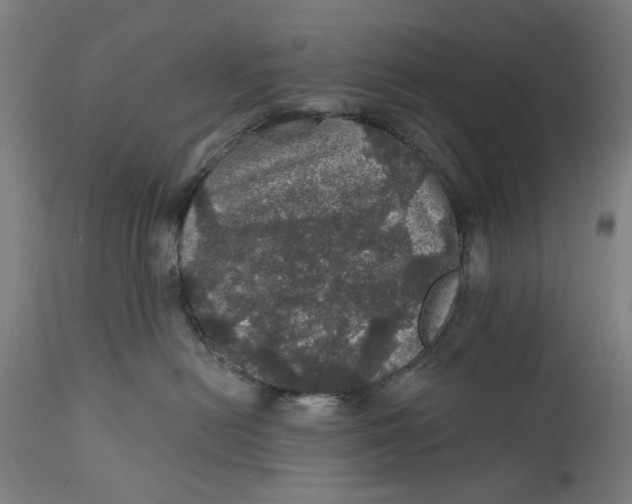 X0000111580478200908061330