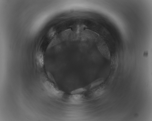 X0000111580479200908061330