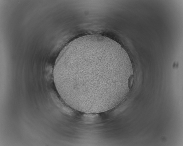 X0000111580480200908061330