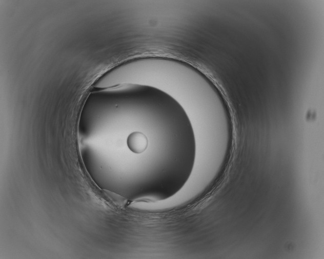 X0000111580481200908061329