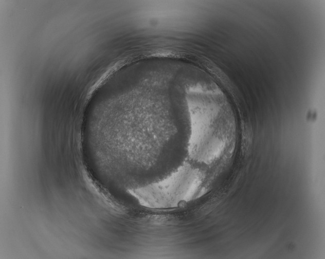 X0000111580482200908061329