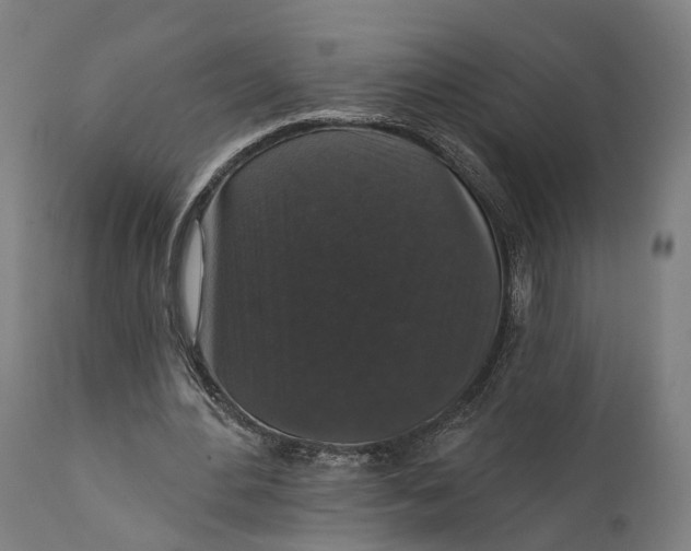 X0000111580484200908061329