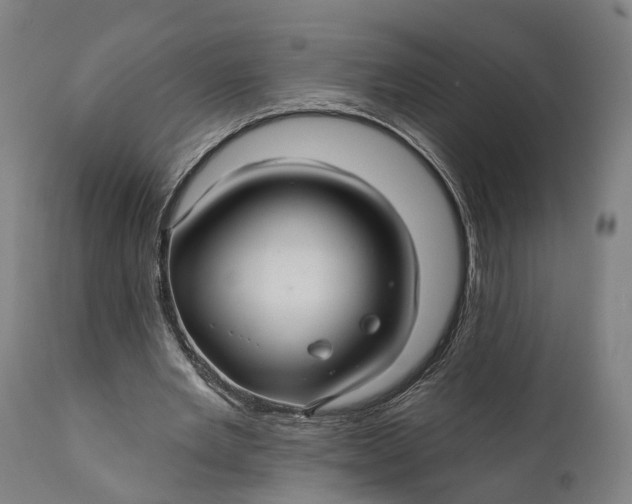 X0000111580485200908061329