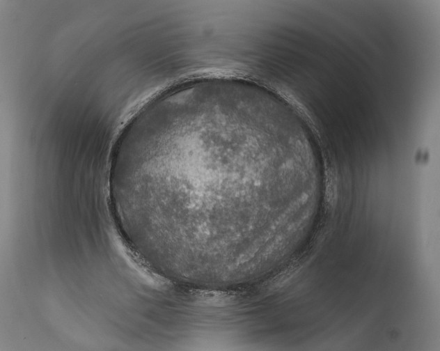 X0000111580486200908061329