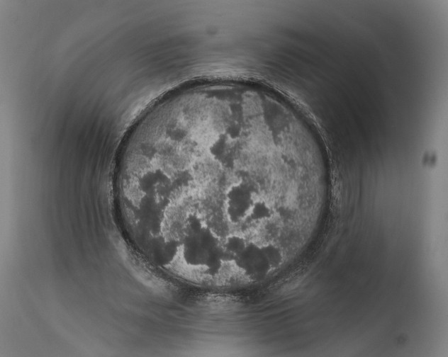 X0000111580487200908061329