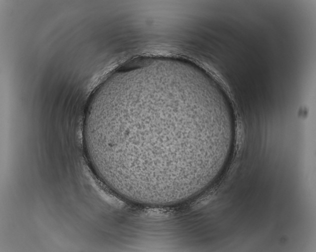 X0000111580489200908061329