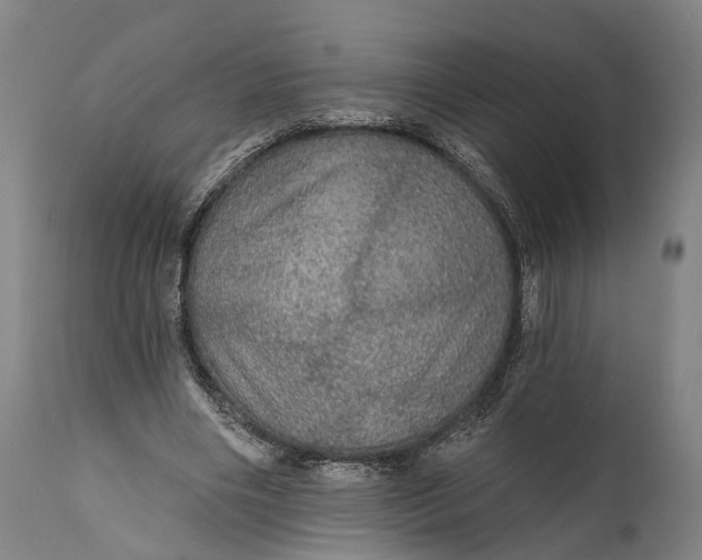 X0000111580490200908061329