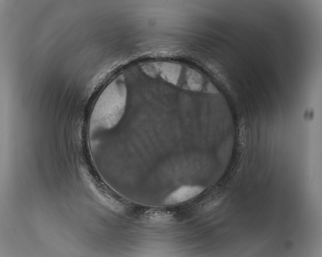 X0000111580491200908061329