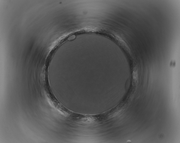 X0000111580492200908061329