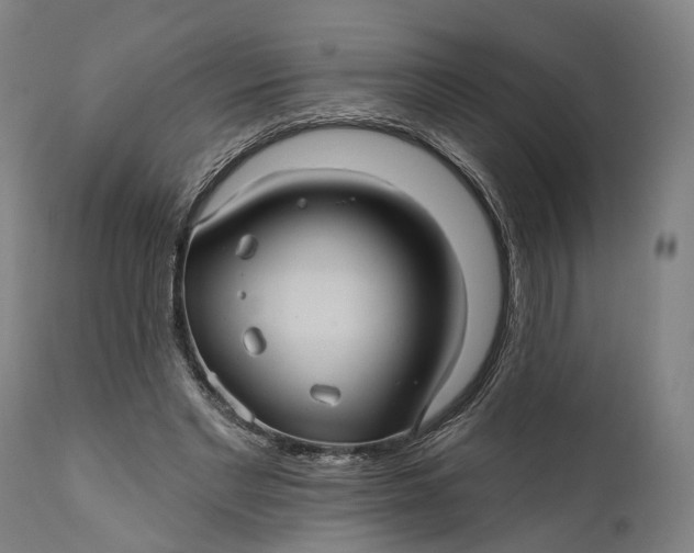 X0000111580493200908061329