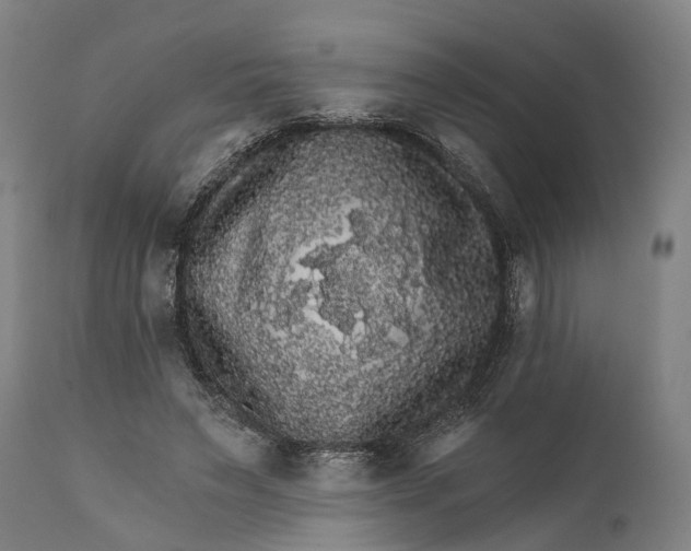 X0000111580495200908061328