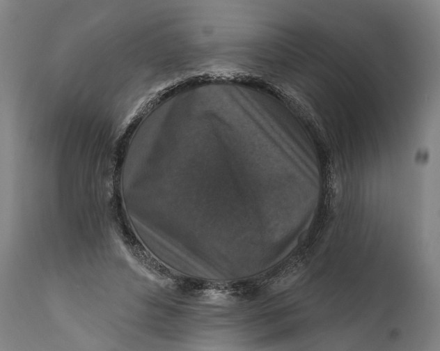 X0000111580496200908061328